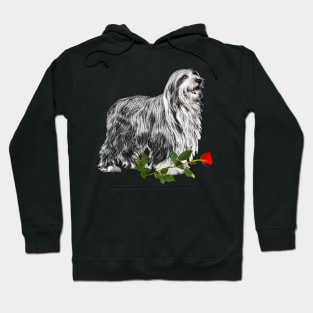 Valentines Bearded Collie Dog with Red Rose Hoodie